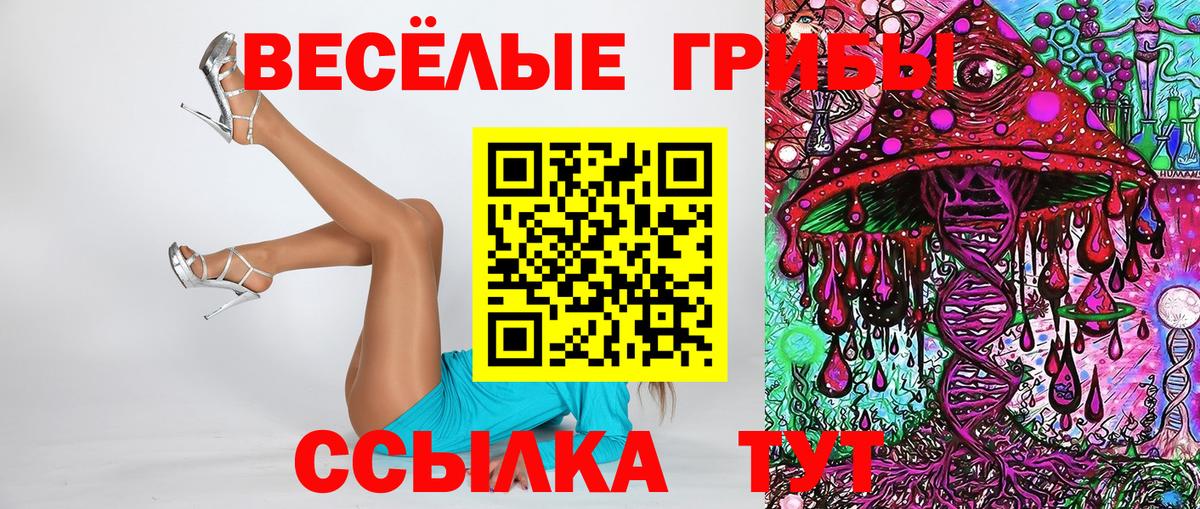 Псилоцибиновые грибы Psilocybe  Псилоцибиновые грибы мухоморы  Вход с VPN  Кубинка 
