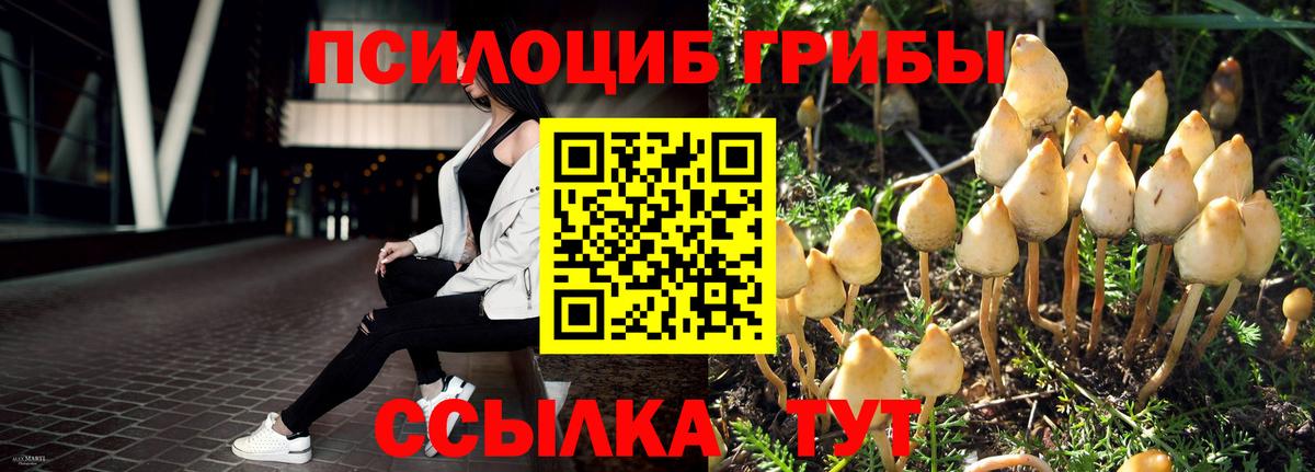 Галлюциногенные грибы ЛСД Кубинка